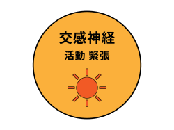 交感神経　痛み